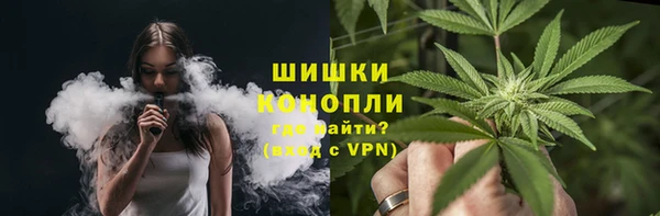 индика Абдулино