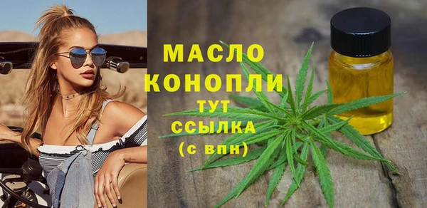 индика Абдулино