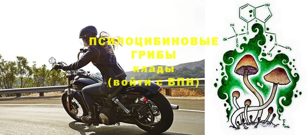 гашик Абинск